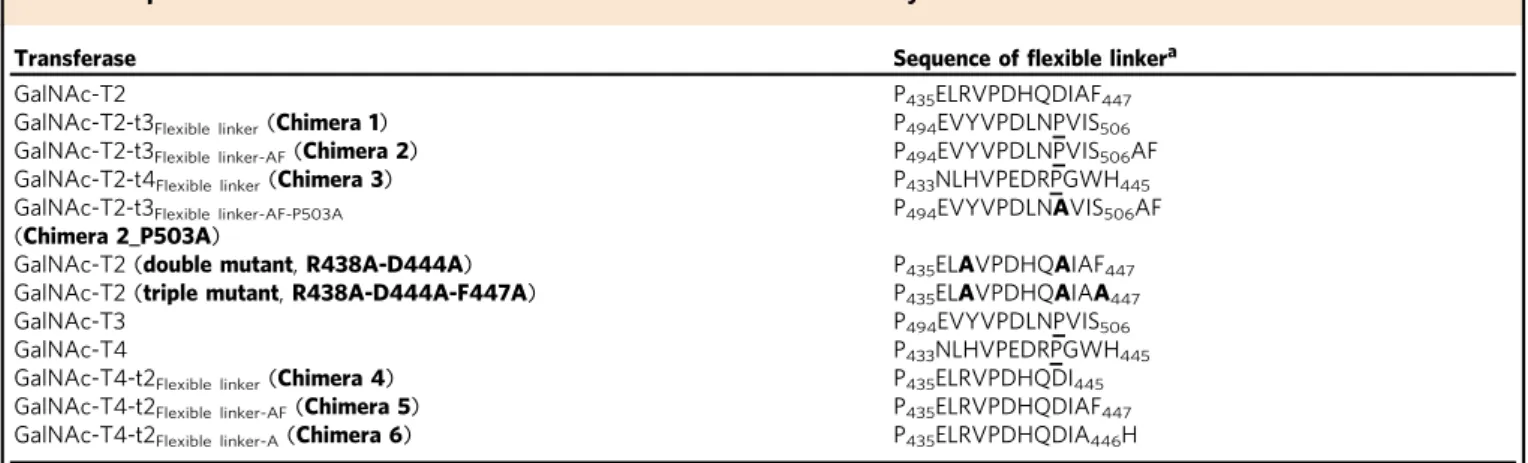 Table 2 Sequences of the chimeras and mutant GalNAc-Ts used in this study