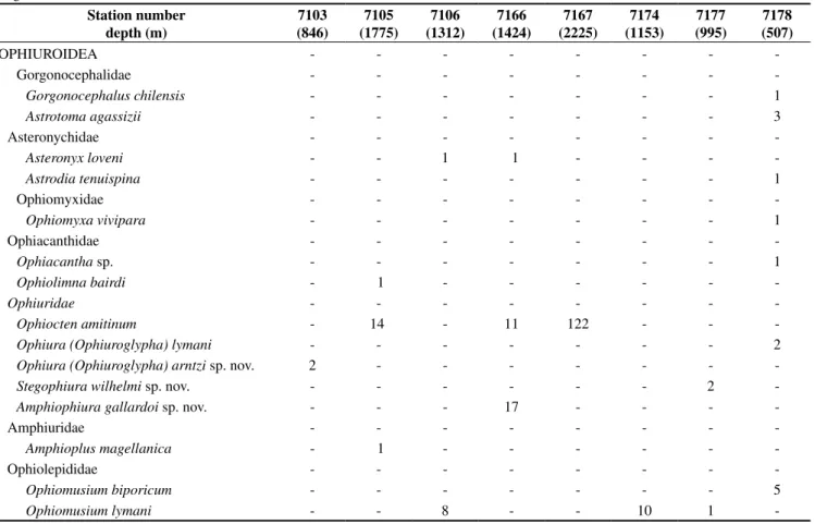 Table 1. List of Ophiuroidea on stations and depth (m) of the collection during the PUCK Expedition (SONNE-156) in 2001 to the Eastern South Pacific  margin off Chile