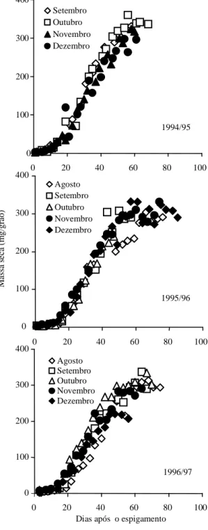 Figura 1.  Acúmulo de massa seca de grãos após o espigamento em diferentes épocas de semeadura do milho híbrido C-901, nos anos de 1994/95, 1995/96 e 1996/97.