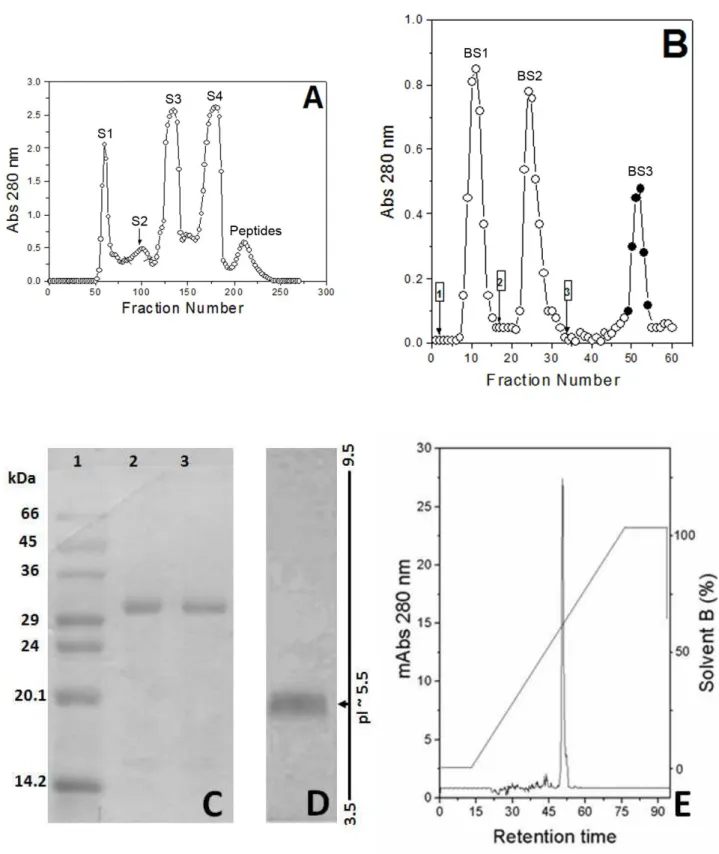Figure 1. Sequential puriication steps of gyroxin. (A) Crotalus durissus terriicus venom (1 g) on Sephadex  G-75, in 0.05 M ammonium formate bufer, pH 3.5