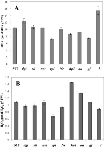 Fig. 1 – MDA (A) and H 2 O 2  (B) contents in extracts of leaves isolated  from tomato mutants grown over 40 days after anthesis