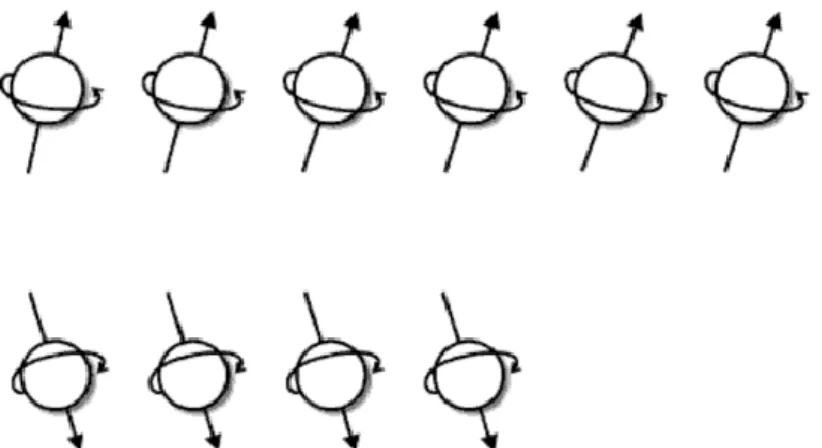 Figura 6 Representação da dupla orientação dos átomos face a um  campo magnético externo (B 0 )