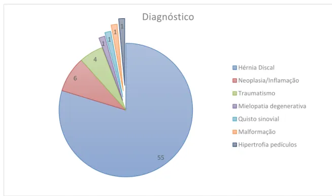 Gráfico 3 Diagnósticos dos 69 casos inseridos no estudo 