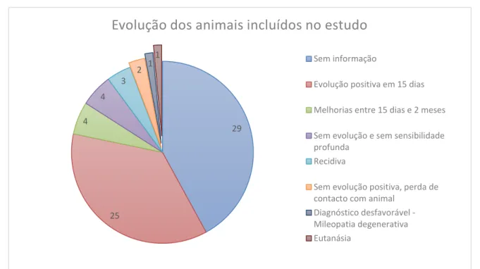 Gráfico 4 Representação da evolução dos animais incluídos no estudo 2925443211