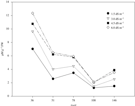 Figure 6. Proline contents during bell pepper growth, submitted to salt stress.