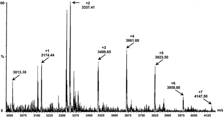Fig. 2. Analysis of glycogenin glucosylation by mass spectrometry. The peptides generated by trypsin digestion of glucosylated GST-GNND360 were analyzed by MALDI-TOF