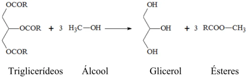 Figura 8 - Esquema geral de uma reação de transesterificação de triglicerídeos com álcool 24 