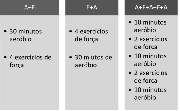 Figura 1 – Grupos de treino  