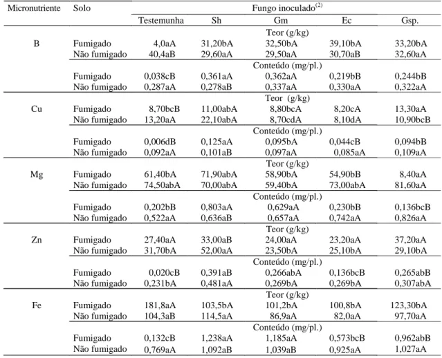 Tabela 4. Teor e conteúdo de micronutrientes na parte aérea de mudas de gravioleira (Annona muricata L.) submetidas à inoculação de fungos micorrízicos arbusculares, em solo fumigado e não fumigado, aos 150 dias após a inoculação (média de cinco repetições
