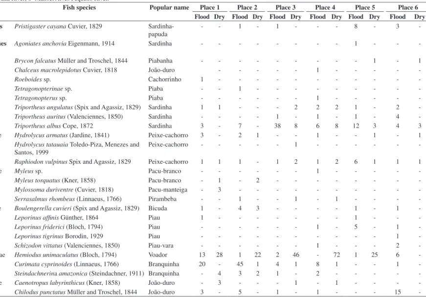 Table 1. Frequency of occurrence of fish species in sample places in March (Rainy) and July (Dry) 2001: 1-Estreito Pequeno (Pedral); 2-Ilha dos Campos; 3-Cana Brava; 4-Ouro River (Ilha  dos botes); 5- Tauá River; 6- Manoel Alves Pequeno River.