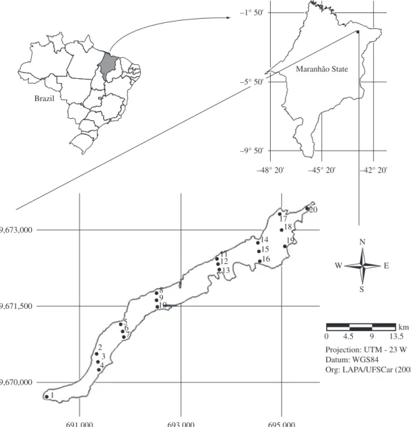 Figure 1. Location of Lake Caçó (district of Primeira Cruz, MA) in Maranhão State, Brazil and map of the Lake showing  the 20 sampling points.