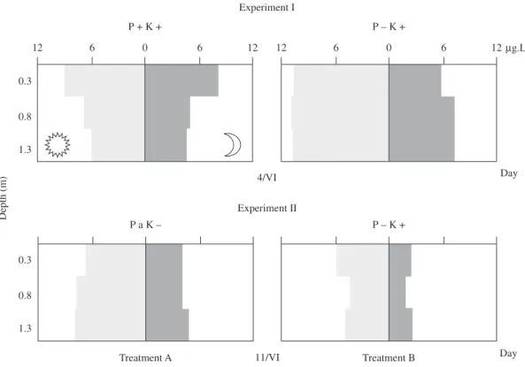 Figure 3. Average values of chlorophyll a in treatments A and B of the experiments, by day and night.