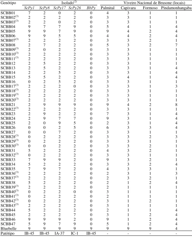Tabela 1. Reação de somaclones R 6  de Bluebelle (SCBB) em relação a 5 isolados de Pyricularia grisea sob condições artificiais, em casa de vegetação, e em quatro locais no Viveiro Nacional de Brusone (VNB-1998/99) (1) .