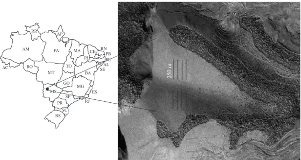 Figure 1. Map showing the study site in the Urucum plateau, Corumbá, Mato Grosso do Sul, Brazil and the four transects of  250 m on each side of the hill