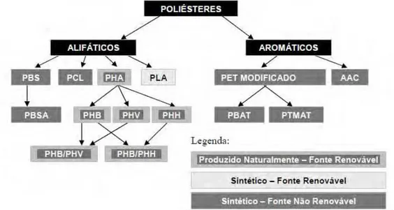 Figura 8. Fórmula estrutural do PCL. 