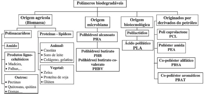 Figura 6 – Origem dos polímeros biodegradáveis. Retirado de AVEROUS; BOQUILO, 2004 apud  SILVA, 2011a