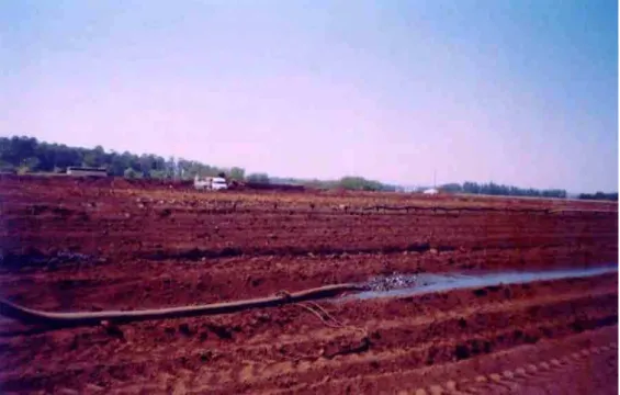 Figura 1. Foto do “landfarming” da REPLAN utilizado para a disposição do resíduo oleoso