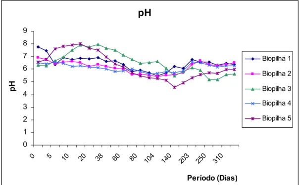 Figura 7. Valores de pH nas diferentes biopilhas. 