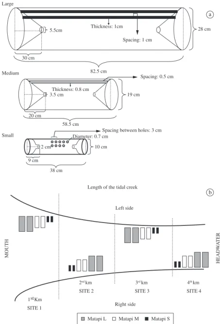 Figure 2. a) Schematic of sampling units used in two creeks of Guajará Bay, Pará, Brazil; large (L) and medium-size (M)  traps made with wooden strips and small (S) traps made with polyethylene bottles; b) schematic of positioning of traps in  Combu and Ta