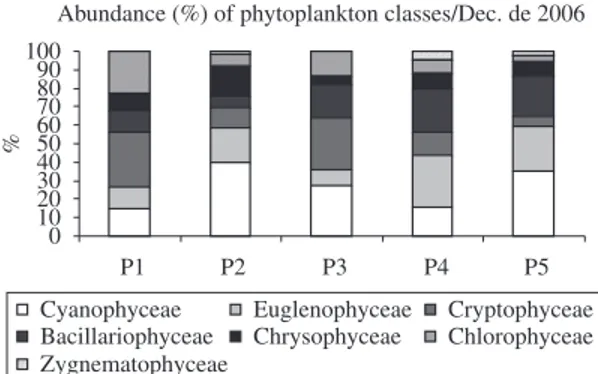 Figure 3. Relative density (%) of the phytoplankton taxa  grouped in the different taxonomic classes recorded at the  five points distributed along the Cachoeira Dourada  reser-voir, GO/MG, in December 2006, May 2007 and November  2007.
