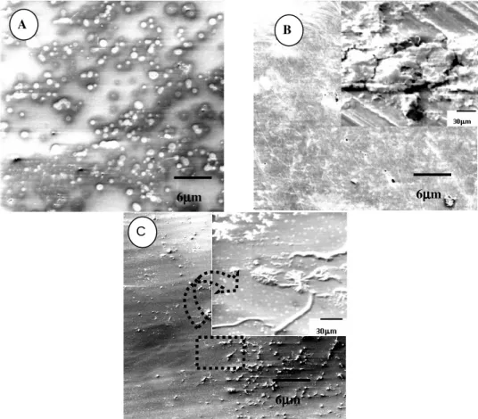 Figure  7  -  SEM  micrographs  of  PVC  films:  A-virgin,  B-biotreated  in  soil  for  120  days,  and  C- C-biotreated in soil with leachate for 120 days