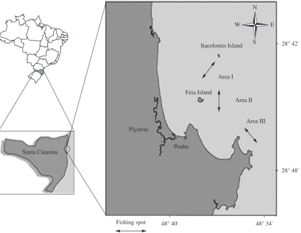 Figure 1. Map of Armação of Itapocoroy, Penha, SC (26° 40’-26° 47’ S and 48° 36’-48° 38’ W) with three points of tradi- tradi-tional fisheries of sea bob shrimp where sampling was conducted.