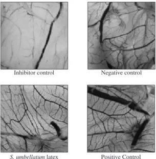 Table  1  presents  the  results  of  vascularisation  per- per-centage in CAM after treatment using two different  con-centrations of S