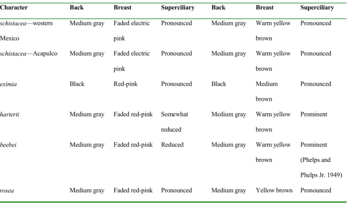 Table 1.  Summary of plumage characters in males and females of subspecies of Rosy Thrush-tanager populations.