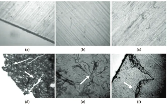 Figure 1. Optical Micrographies of films of PHBV, LDPE, and Blend (a, b and c)- before biotreatment; (d, e and f) PHBV, PE and blend  films, respectively, after biotreatment, at 30 °C, for 1 month (Note: cracking, hyphae and flaking) (a, d and f = 400X; b,