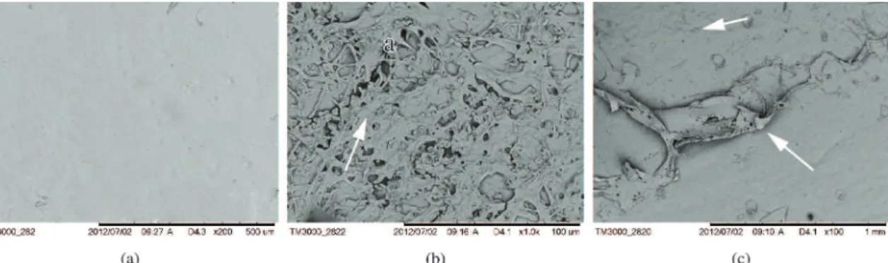 Figure 2. SEM of LDPE/PHBV (70/30) blends. a - before the biotreatment (200 X), b-c after the biotreatment, at 28 °C, for 1 month  (1000x and 100 X, respectively)