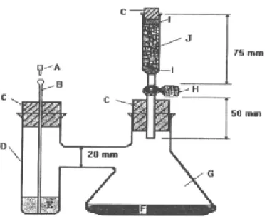 Figure 1 - Model of the system used for the Respirometer. A - Cover of the cannula; B - Cannula; 