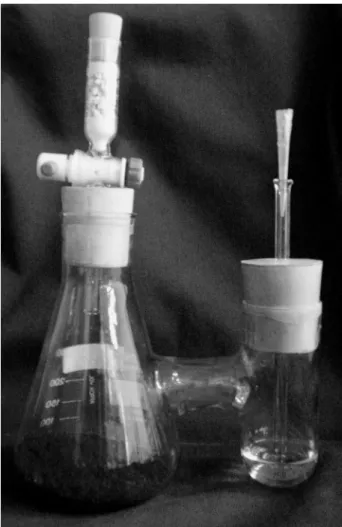 FIGURE 1. Biometer flask.