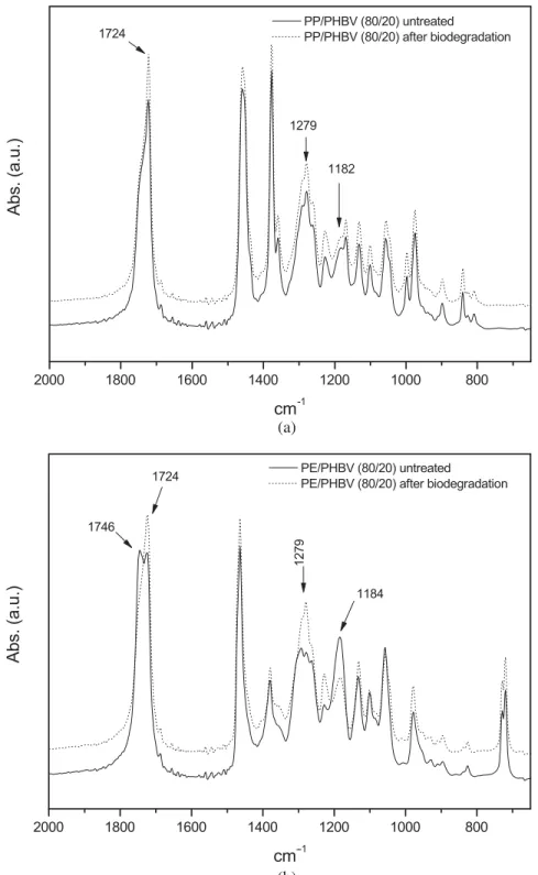 FIGURE 3. FTIR films: (a) PP/PHBV (80/20) (___) untreated ( . . . .) after biodegradation; (b) PE/PHBV (80/20) (___) untreated ( 
