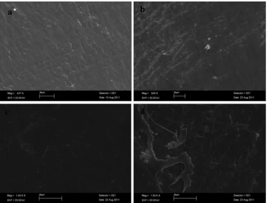 FIGURE 5. SEM micrographs of (a) PP/PHBV (80/20) untreated, (b) PP/PHBV (80/20) after biodegradation, (c) PE/PHBV (80/20) untreated, and (d) PE/PHBV (80/20) after biodegradation films.