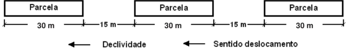 FIGURA 5. Esquema das parcelas. 