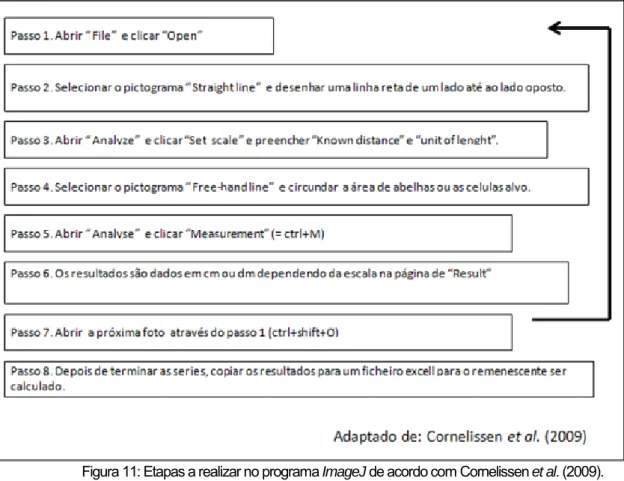 Figura 11: Etapas a realizar no programa  ImageJ  de acordo com Cornelissen  et al . (2009).