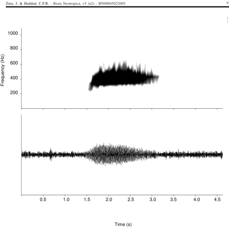 Figure 4- Territorial call of Leptodactylus labyrinthicus. Spectrogram (upper) and waveform (lower)