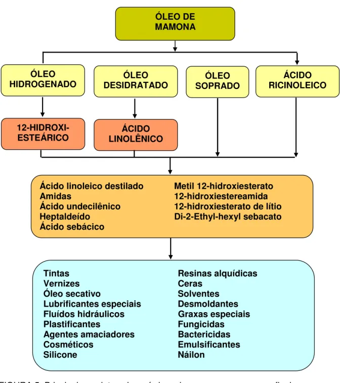 FIGURA 5. Principais produtos oleoquímicos da mamona e seus usos finais. 