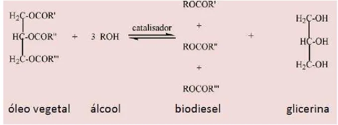Figura 2. Equação geral da reação de transesterificação (GUARIEIRO; 