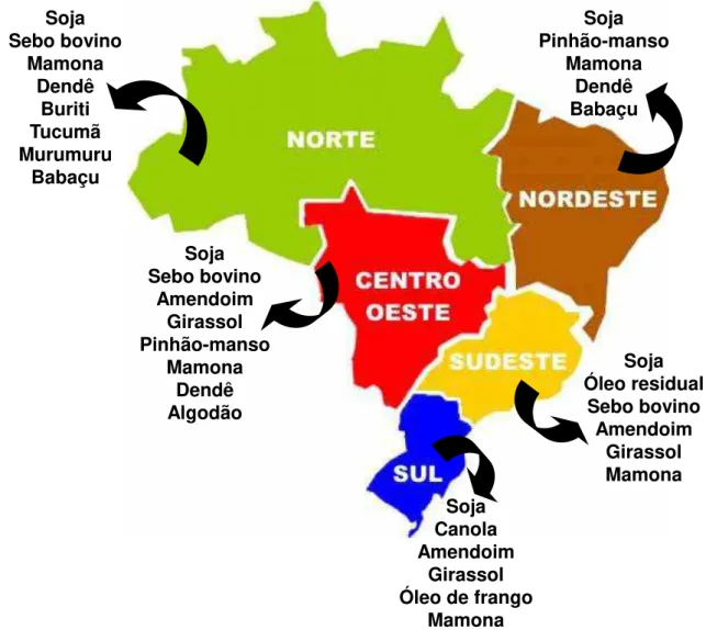 Figura 2. Matérias primas para produção de biodiesel por regiões do Brasil  