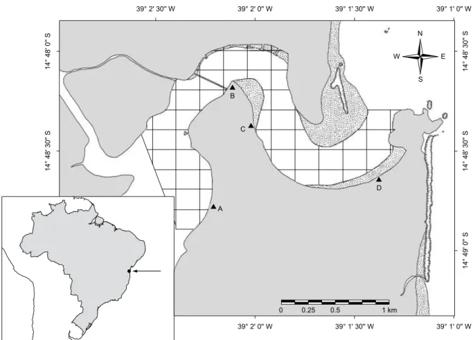 Figure 1. The study area in Pontal Bay, Ilhéus, Brazil and the four observation points A, B, C and D.