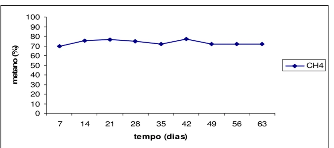 FIGURA 4 – Porcentagem de metano (CH 4 ) durante os abastecimentos diários. 
