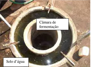 FIGURA 2  –  Vista parcial do biodigestor batelada instalado no Departamento de Engenharia Rural  utilizado no experimento, detalhe da câmara de fermentação e selo d’água.