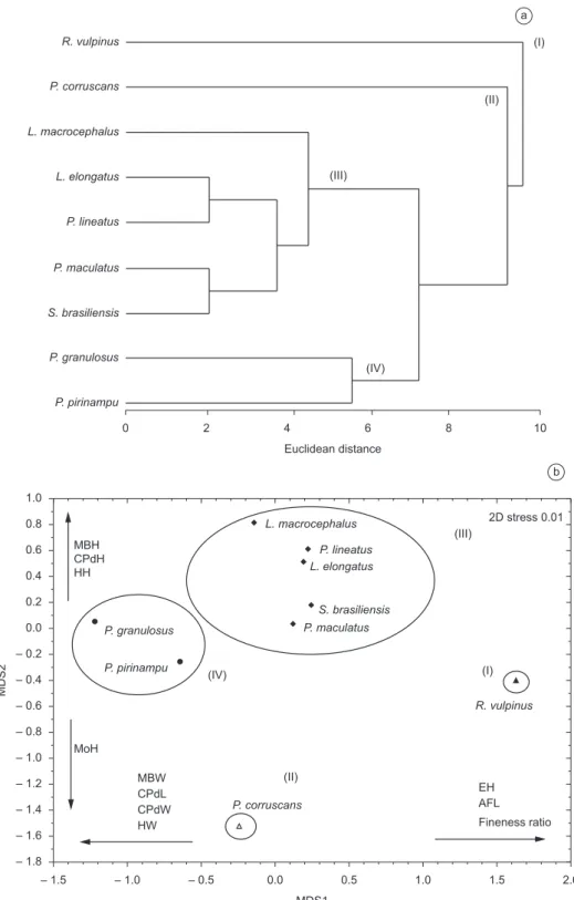 Figure 3. Dendrogram and ordering by the MDS method of morphometric measurements of nine long-distance migratory fish species of the Paraná River