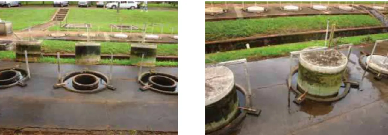 Figura 4. Biodigestores batelada do Departamento de Engenharia Rural da FCAV-  Unesp/ Jaboticabal
