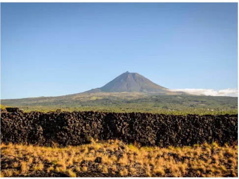 Fig. 3. Muro de pedra negra Foto: Ivan Verdoodt/Parque Natural do Pico