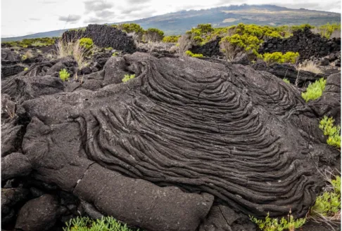 Fig. 5. Campos de lava com micro relevos – lava encordoada Foto: SIARAM