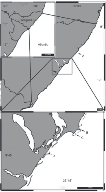 Figure 1. Map showing Alagoas (upper left corner insert) and the collecting  localities off Maceió (A, Ponta do Meirim; B, Ponta Verde; C, Piscina dos  Amores) and Marechal Deodoro (D, Praia do Francês)