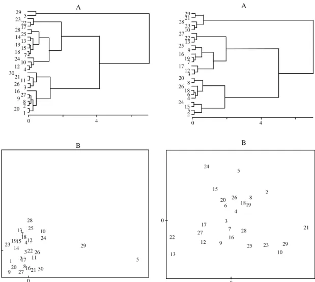 Figura 3. Análise de agrupamentos (A) e análise de coor- coor-denadas principais (B) dos indivíduos do genótipo 46.4, híbrido entre Leucaena leucocephala e L. diversifolia.