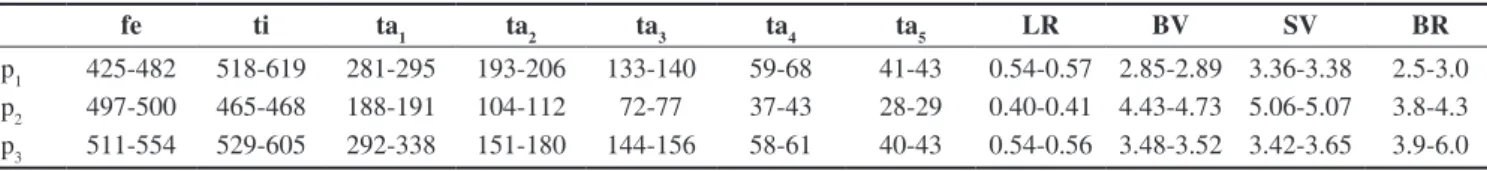 Table 1. Lengths (in µm) and proportions of legs of Pebapomberus rugendas sp. n., male (n = 2-3).